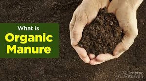 organic manure
